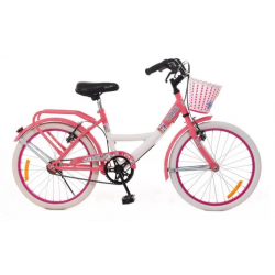 Bicicleta Rodado 20 Citi Life B8169 Paseo Dama