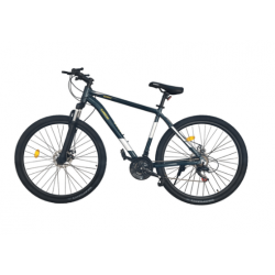Bicicleta Rodado 29 Mountain Bike Kawill Bke-29-lb Verde/amarillo