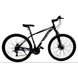 Bicicleta Rodado 29 Mtb Pmwiw210 Wings Con Suspension Acero